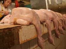 Waspada, Ada Ayam Berformalin di Pasar Palmerah