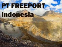 Lagi, Freeport Indonesia Tak Berikan Dividen 2014