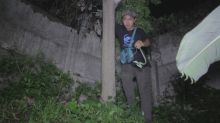 Komunitas Ular Berbagi Tips Tangani Teror Kobra di Perumahan