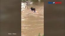 Personel TNI Bantu Tim Medis Seberangi Banjir Deras di Bitung