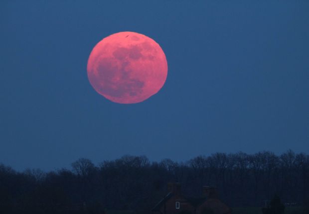 Besok! Fenomena April Pink Moon Bisa Kamu Nikmati di Rumah