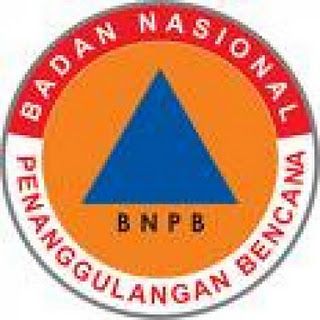 BNPB-UNDP rilis panduan pascabencana