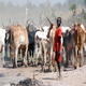 Ribuan pemuda di Sudan Selatan persiapkan peyerangan antar suku