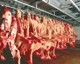 Jakarta sulit jaga ketersediaan pasokan daging