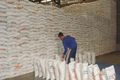 31,7 ribu ton beras impor masuk pelabuhan Belawan