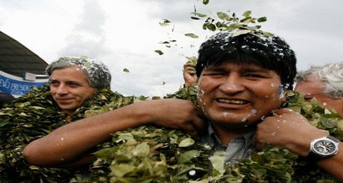 Presiden Bolivia minta PBB legalkan coca