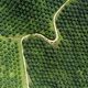 Revitalisasi perkebunan di Sumut hanya 32 %