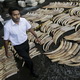 Srilangka sita 1,5 ton gading gajah asal Kenya