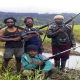 Pendekatan militer semakin memicu konflik Papua