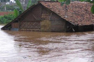 Banjir, ribuan hektare sawah terancam puso
