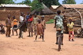Afrika Barat desak Mali hentikan krisis