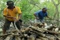 Illegal logging picu banjir bandang di Padang