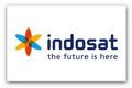 Indosat telan kerugian Rp131,8 miliar