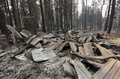 50 bangunan hancur terlahap api di California utara