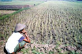 Ribuan hektar lahan pertanian kekeringan