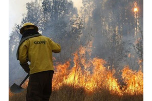 Kebakaran hutan di Gunung Agung makin liar