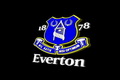 Everton siapkan kontrak baru Heitinga