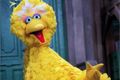 Sesame Street desak Obama hapus iklan Big Bird