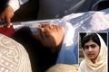 Sekjen PPB kecam penembakan Yousufzai