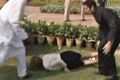 PM Australia terjerembab di makam Gandhi