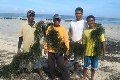 Tercemar, rumput laut di Hadakamali rusak