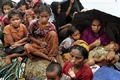 Thailand tolak masuk pengungsi Rohingya