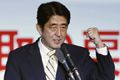 Abe fokus hubungan Asia Tenggara
