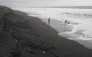 Pantai Selatan Kulonprogo terkena abrasi