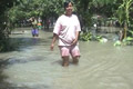 Banjir di Jombang meluas