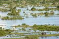 Korban banjir di Mozambik menyentuh angka 40 jiwa