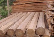 Pemerintah dorong ekspor olahan kayu