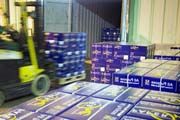 PT RAPP targetkan ekspor pulp 2 juta ton