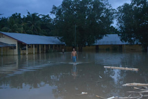 Banjir rusak sawah dan tambak di tiga desa