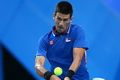 Djokovic fokus perkuat Serbia