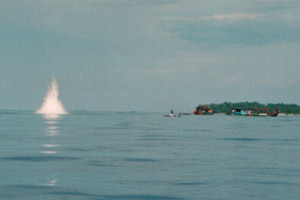 Gawat, bom ikan di Mentawai bisa picu gempa