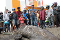 Bangkai ikan raksasa gemparkan warga Copong