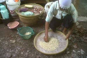 Dijerat kemiskinan, Keluarga Taripah konsumsi nasi aking