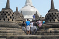 Simulasi bencana, stupa Borobudur ditutup tarpaulin