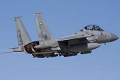 Jet tempur Arab Saudi jatuh dalam latihan