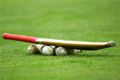 KONI Jabar evaluasi kriket di PON XIX