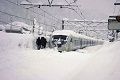 Badai salju parah tewaskan 6 warga Jepang