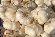 Harga bawang putih di Depok naik 100%