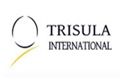 Kembangkan bisnis, Trisula gandeng mitra asal Jepang