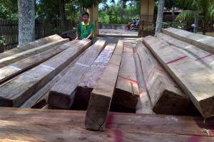 Curi kayu di TNK, oknum TNI ditangkap