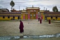 Wanita Tibet bakar diri di China