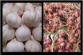 Harga bawang di Maluku Utara meroket