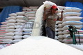 500 ton beras di Polman menumpuk di penggilingan