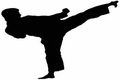 Karate Indonesia siap dicoba