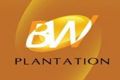 BW Plantation beli saham Bumi Sawit Rp23,7 M