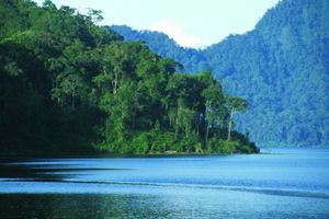 55 Orang Tim SAR susuri hutan Bukit Barisan